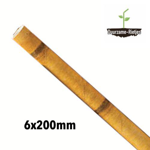Papieren rietjes 6x200mm | Bamboe geel | 500st. | 5.000st.